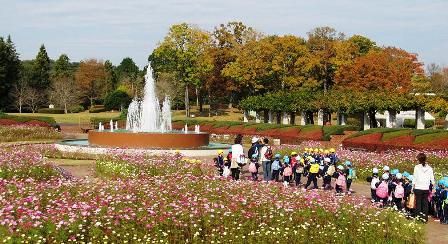 茨城県植物園内の風景 茨城県植物園のブログ